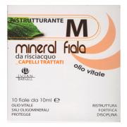 Susan Darnell Mineral Ristrutturante Capelli Trattati Con Olio Vitale 10 Fiale Da 10ml